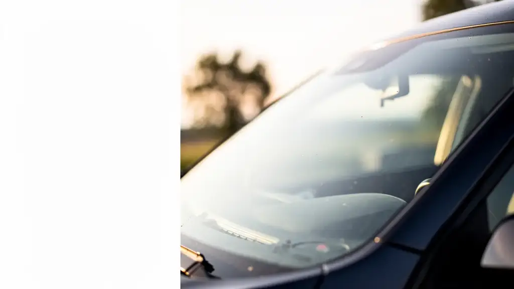 The windshield and side window of a dark car catching low golden-hour sun